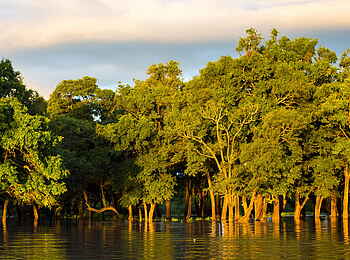 Time + Tide Chinzombo: Die Flussauen des Luangwa