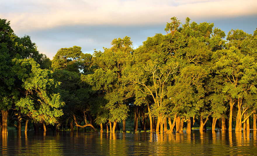 Time + Tide Chinzombo: Die Flussauen des Luangwa Time + Tide Chinzombo: Die Flussauen des Luangwa