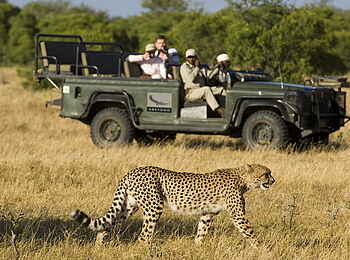 &Beyond Ngala Safari Lodge: Beobachtung eines Leoparden