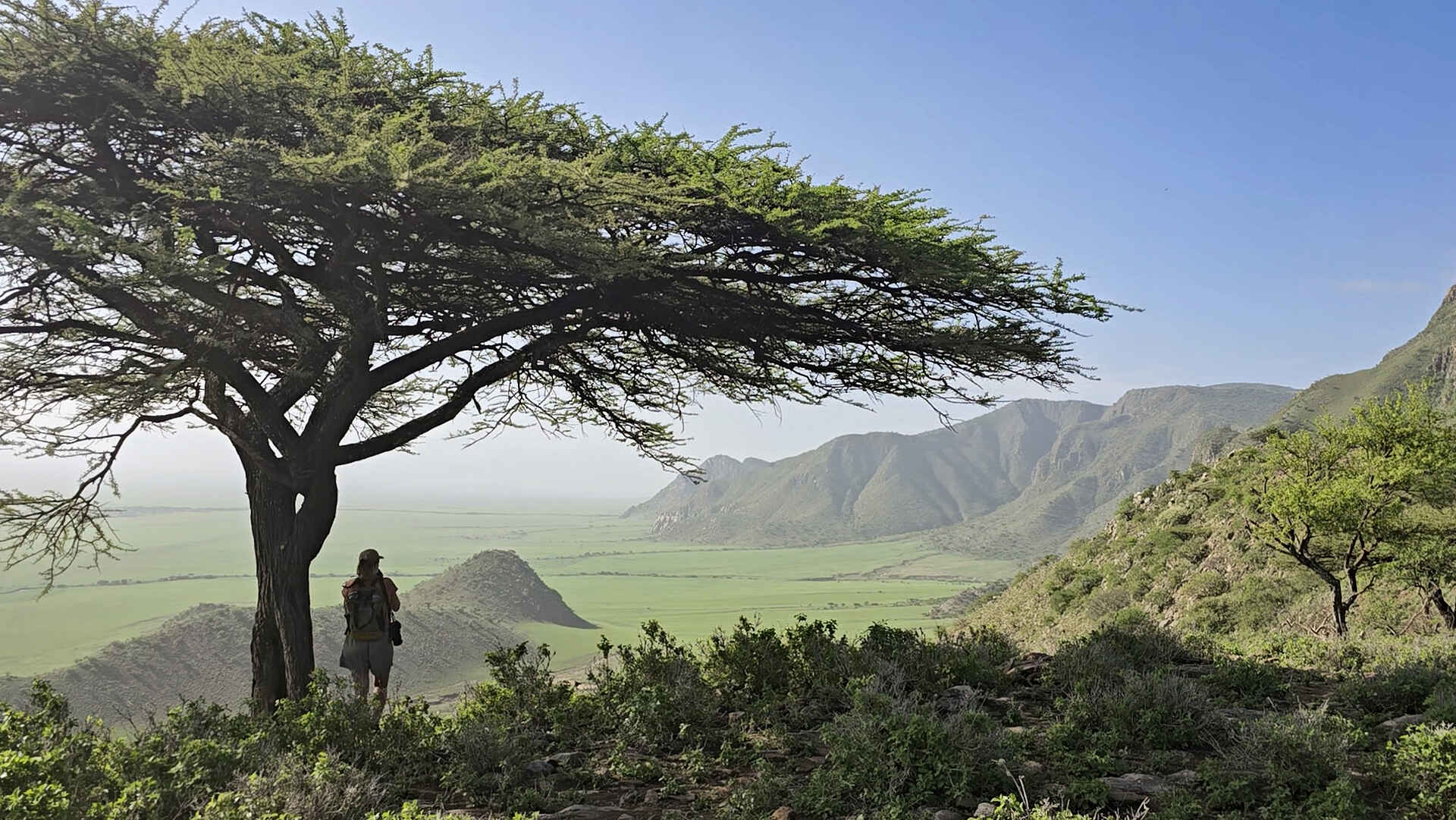 Charlie Sanjan Safari Camp: Ausblick