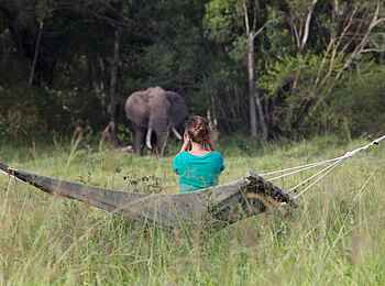Elephant Pepper Camp: Elefantenbesuch Elephant Pepper Camp: Elefantenbesuch