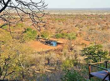 Ghoha Hills Savuti Lodge: Blick auf das Wasserloch