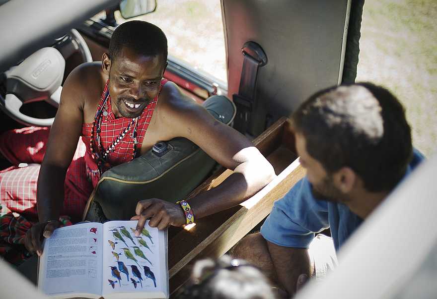 Kicheche Mara Camp: Erklärung während eines Game Drives Kicheche Mara Camp: Erklärung während eines Game Drives