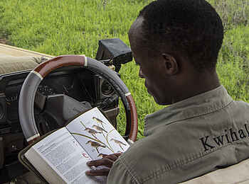 Kwihala Camp: Guide mit Tierlexikon