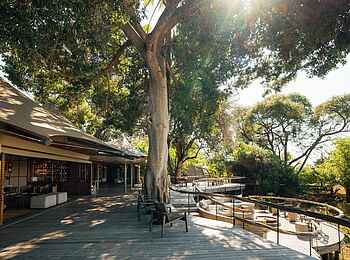 Little Mombo Camp: Blick auf die Terrasse