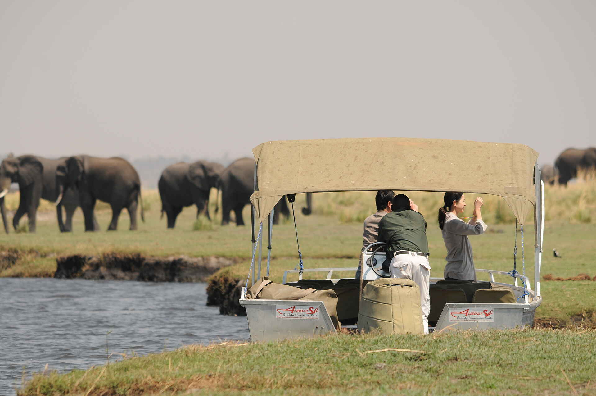 Afrika, afrikarma, Botsuana, Botswana, Chobe, Chobe Forest Reserve, Chobe National Park, Chobe Nationalpark, Chobe River, Fauna, Flussfahrt, Lodge, Ngoma, Ngoma Safari Lodge, Nordbotswana, nördlicher Chobe Nationalpark, Northern Botsuana, northern Chobe, Pirschfahrt, Reise, reisen, Reiseveranstalter, Safari, Southern Africa, Urlaub, Vollpension, Aktivitäten, Boot, Elefant, Elefanten, Fluss, Tiere, Wasser