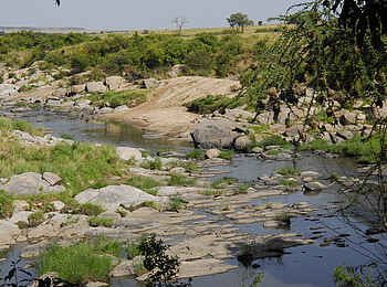 Rekero Camp: Blick vom Camp auf den Fluss Rekero Camp: Blick vom Camp auf den Fluss