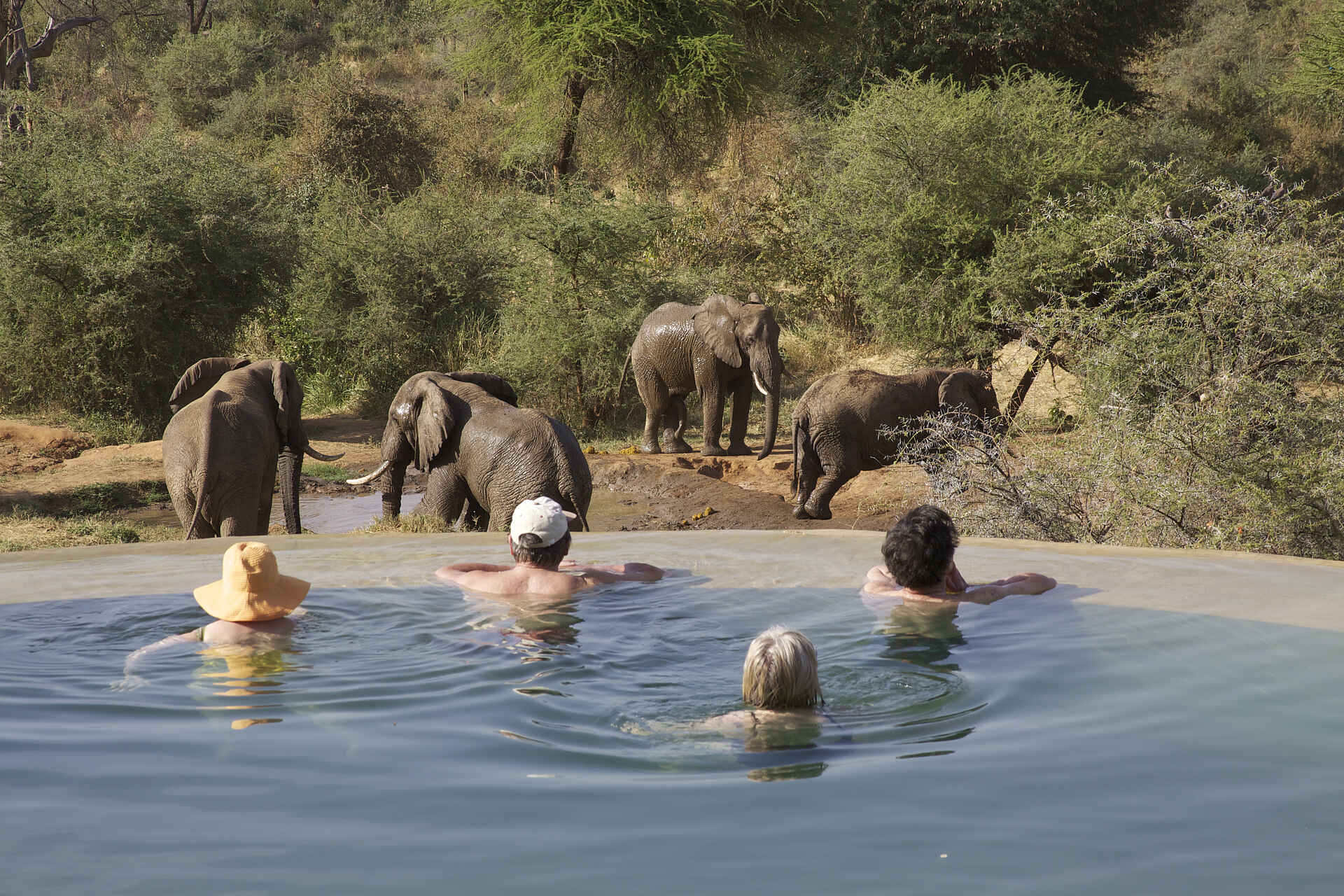 bush & beyond, namunyak wildlife conservation trust, sarara, poolausblick, wasserloch, afrikarma, afrikarma safaris, afrikarma safaris - wildnis. hautnah., afrikarma.de, ankleidebereich, badezimmer, Jeremy Bastard