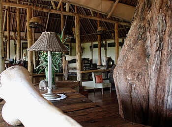 Tarangire Treetops: Die Rezeption