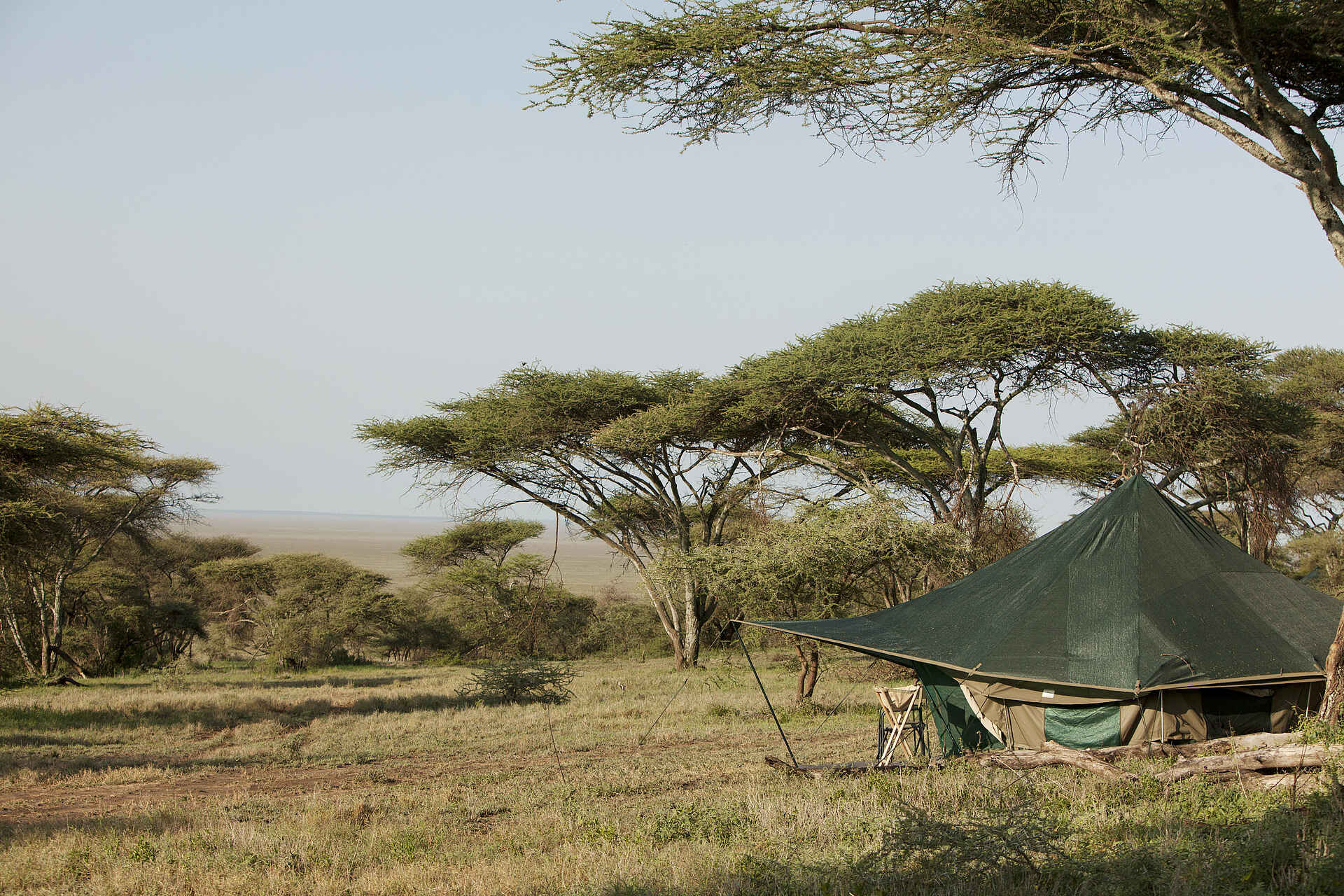 Naabi Hill, Serengeti, Tansania, Wayo Nabi Green Camp, Wayo Africa, Ausblick, Gästezelt, Hang, Afrikarma, Afrikarma Safaris, Afrikarma Safaris – Wildnis. Hautnah., afrikarma.de