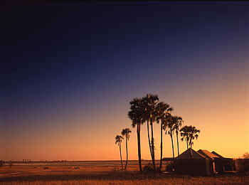 Jack's Camp: Abendstimmung