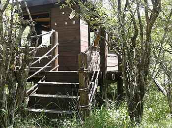 Mara Bush Camp: Aufgang zum Beobachtungsunterstand Mara Bush Camp: Aufgang zum Beobachtungsunterstand