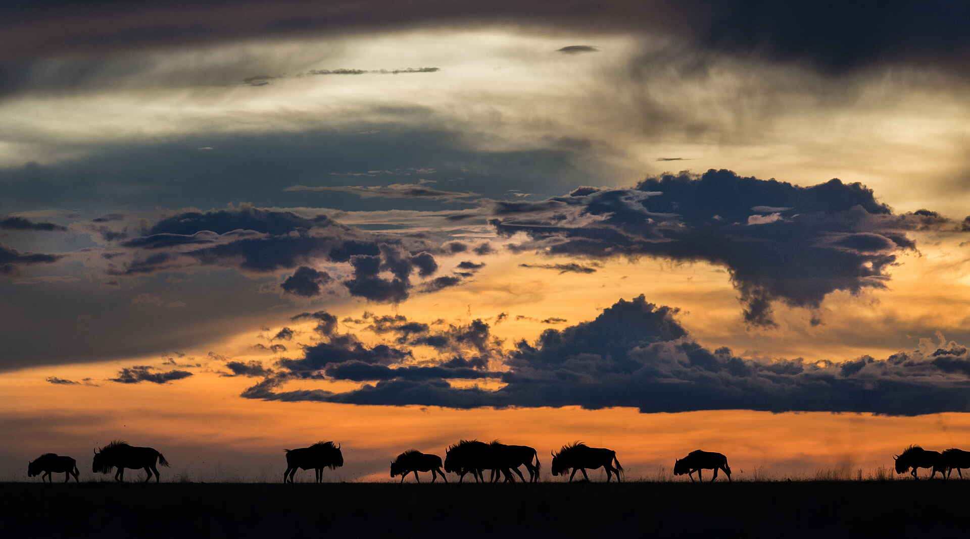 Time + Tide King Lewanika: Dämmerung über den Liuwa Plains Time + Tide King Lewanika: Dämmerung über den Liuwa Plains