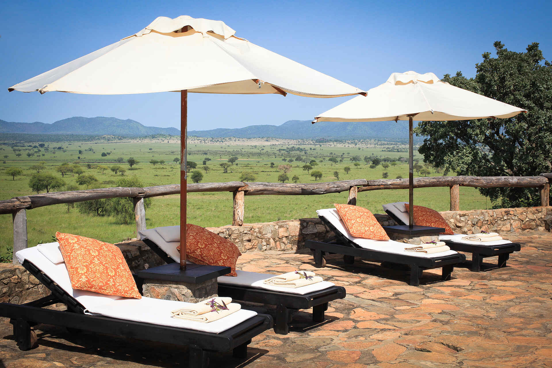 Afrikarma Safaris, Afrikarma.de, Apoka Lodge, Apoka Safari Lodge, Kidepo National Park, Kidepo Valley, Narus-Tal, Savanne, Wildplaces Uganda, Liegestühle, Sonnenschirm, Swimming Pool, Afrikarma