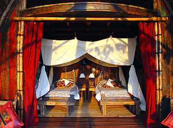 Greystoke Mahale: Blick in eine Banda