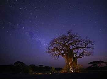 Kichaka Expeditions: Der Sternenhimmel