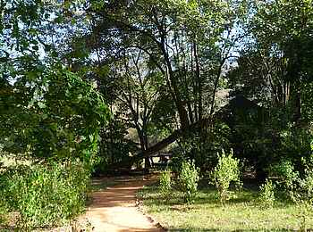 Kitich Camp: The Road to Kitich Kitich Camp: The Road to Kitich