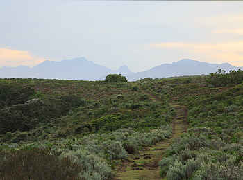 Simbavati Fynbos on Sea Lodge: Unterwegs Simbavati Fynbos on Sea Lodge: Unterwegs