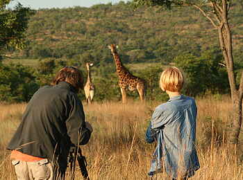 Makweti Safari Lodge: Auf Fotosafari