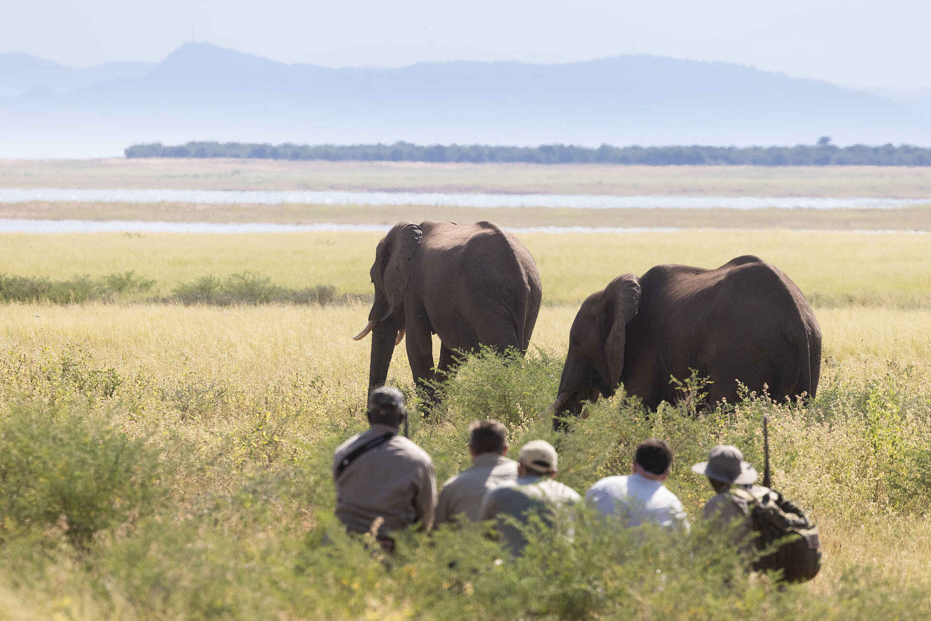 Fothergill Island Luxury Camp: Walking Safari