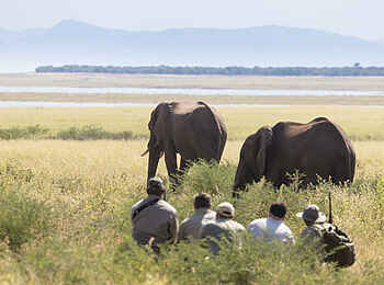 Fothergill Island Luxury Camp: Walking Safari