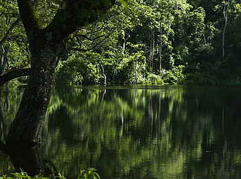 Hatari Lodge: Seenlandschaft