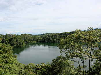 Papaya Lake Lodge: Bäume am Seeufer