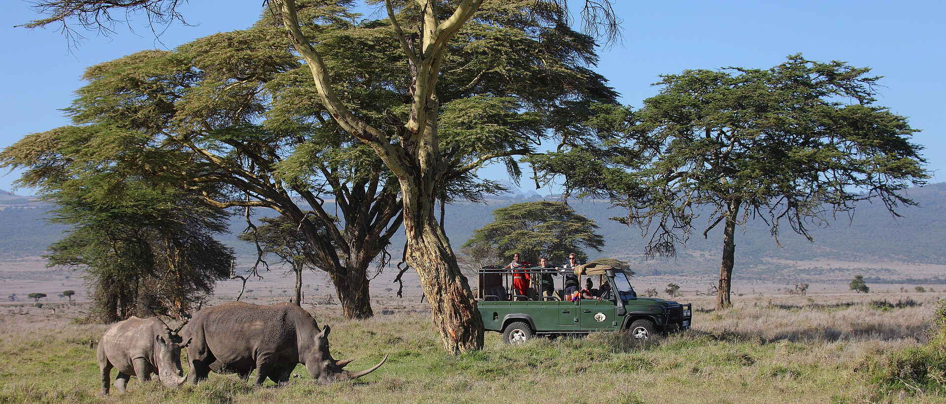 Kenia, lewa wildlife conservancy, sirikoi, nashörner, pirschfahrt, afrikarma, afrikarma safaris, afrikarma safaris - wildnis. hautnah., afrikarma.de, kenya