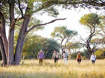 Thamo Telele Camp: Walking Safari Thamo Telele Camp: Walking Safari