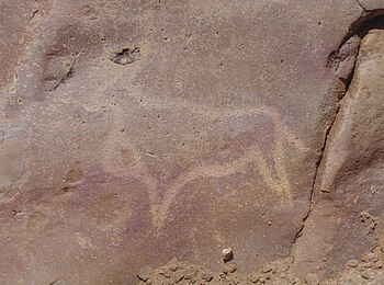 Tswalu Tarkuni Homestead: Felszeichnung in der Kalahari Tswalu Tarkuni Homestead: Felszeichnung in der Kalahari