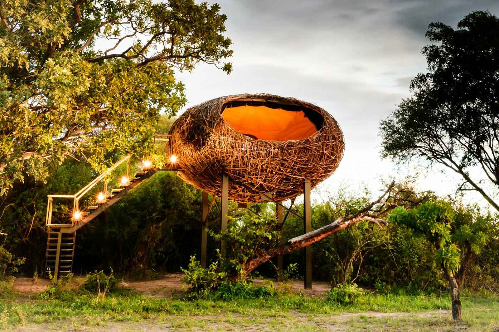 Chisa Busanga Camp: Vogelnest mit Treppe Chisa Busanga Camp: Vogelnest mit Treppe