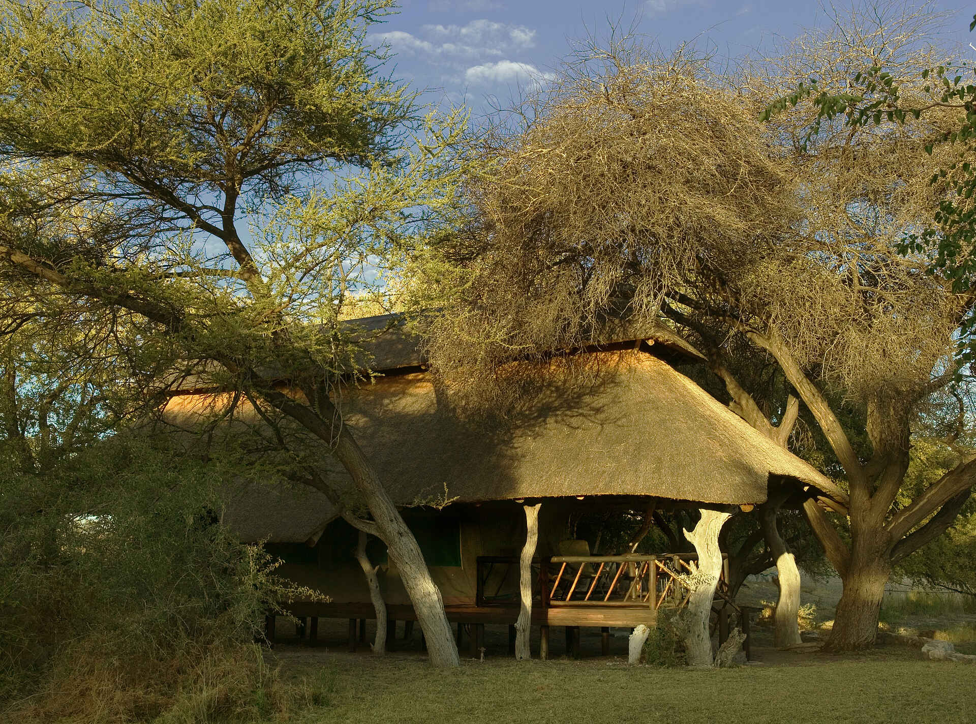 africa, afrika, afrikarma, Botsuana, Botswana, Breitmaulnashorn, buchen, central botsuana, desert, Edos Camp, Edo's Camp, gahnzi, Kalahari, kultur, Nashorn, nashorn tracking, Nordwest-kalahari, northwestern kalahari, private reserve, Privatreservat, reise, reisen, reiseveranstalter, Rhino, rhino tracking, san, san volk, southern africa, südliches afrika, tracking, Urlaub, White Rhino, zentralbotswana, gäsetzelt, gäste, gästeunterbringung, gästeunterkunft, guest building, meruzelt, zelt