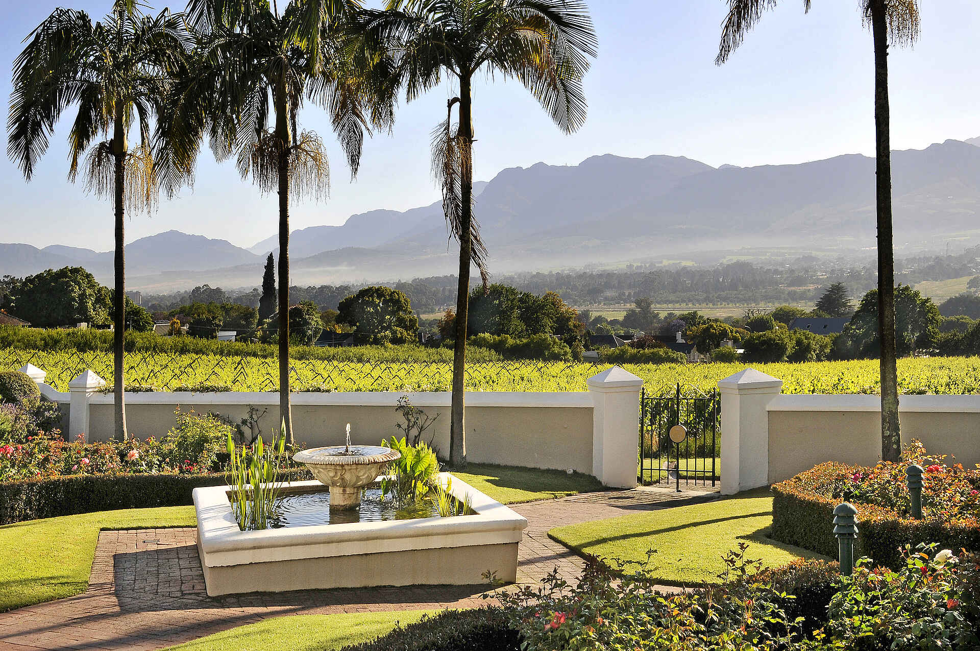 Bosman's, Drakenstein Mountains, Grande Roche Hotel, Paarl, Paarl Rock, Small Luxury Hotels of the World, Südafrika, Weinberge, Früher Morgen, Nebel, Palmen, Springbrunnen, Afrikarma, Afrikarma Safaris, Afrikarma Safaris – Wildnis. Hautnah., afrikarma.de