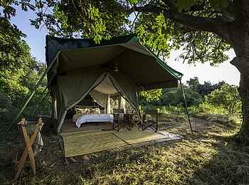 John's Camp: Morgenlicht