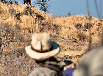 Kichaka Expeditions: Beobachtung des essenden Elefanten