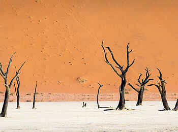 Kulala Desert Lodge: Die berühmte Deadvlei