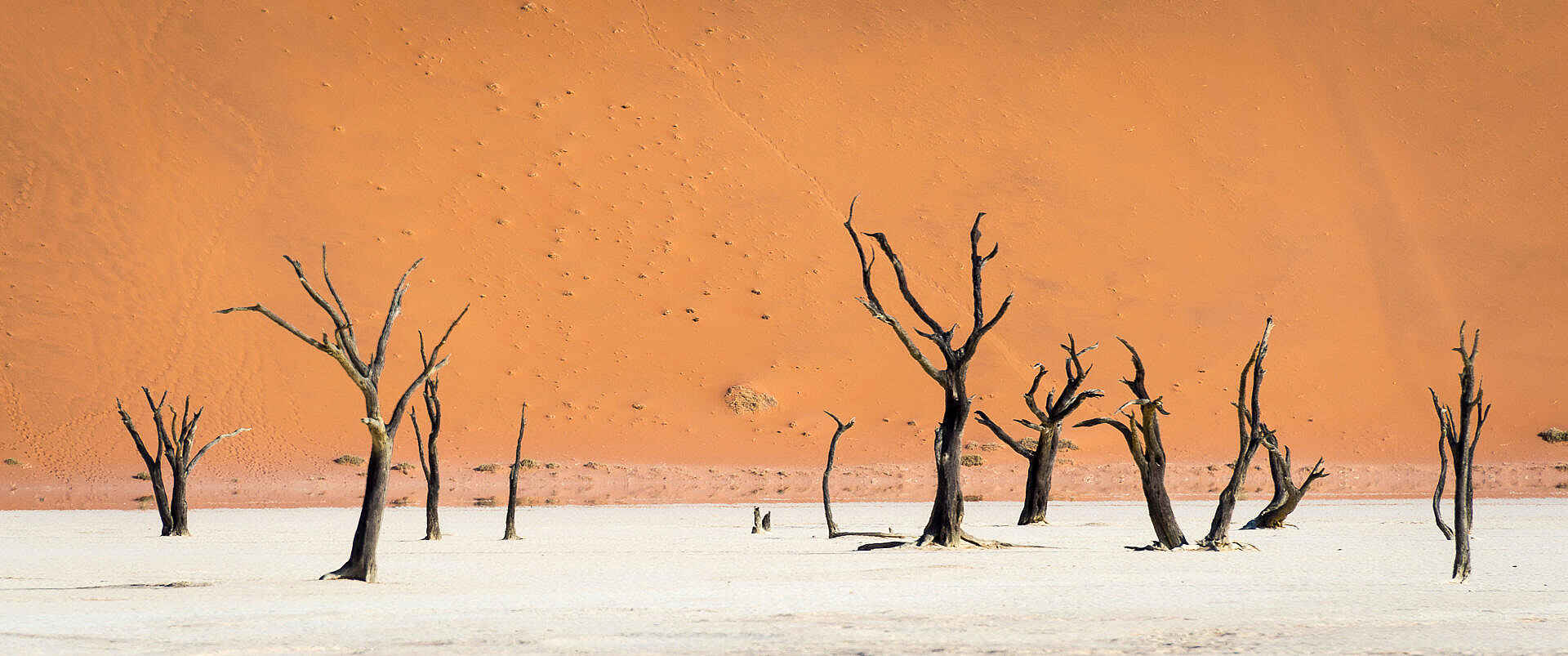 Kulala Desert Lodge: Die berühmte Deadvlei