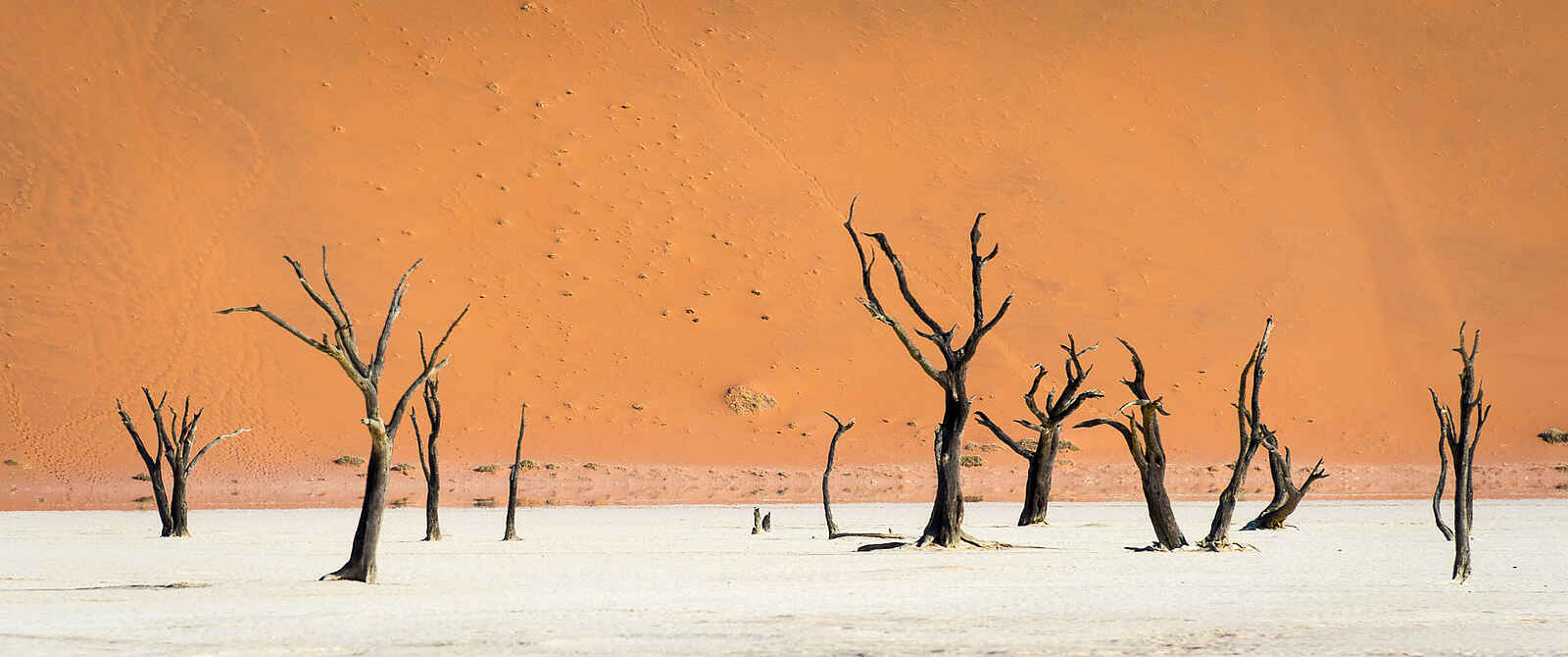 Kulala Desert Lodge: Die berühmte Deadvlei Kulala Desert Lodge: Die berühmte Deadvlei