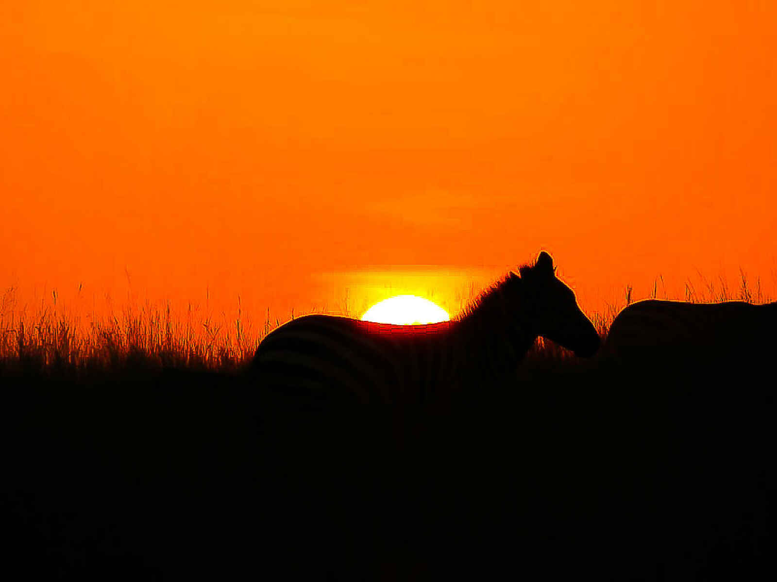 Lemala Mpingo Ridge Lodge: Sonnenuntergang Lemala Mpingo Ridge Lodge: Sonnenuntergang