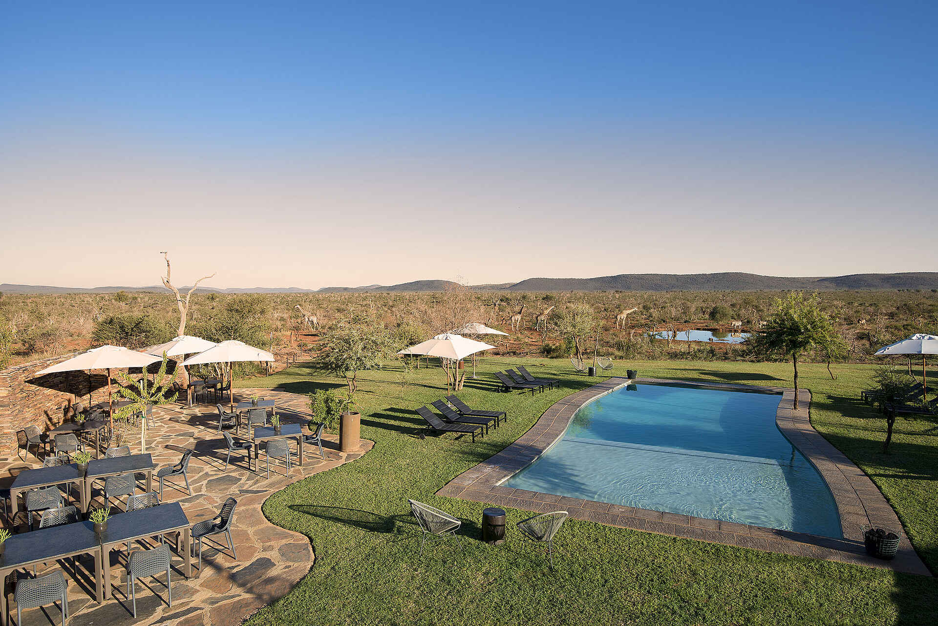 Madikwe Safari Lodge Lelapa: Swimmingpool mit Restaurant big 5, madikwe game reserve, madikwe safari lodge lelapa, onelife more, südafrika, restaurant, swimmingpool, afrikarma, afrikarma safaris, afrikarma safaris - wildnis. hautnah., afrikarma.de