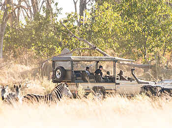 Rra Dinare Camp: Zebras