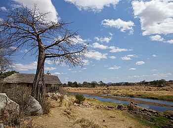 Ruaha River Lodge: Gästehütte am Ufer Ruaha River Lodge: Gästehütte am Ufer