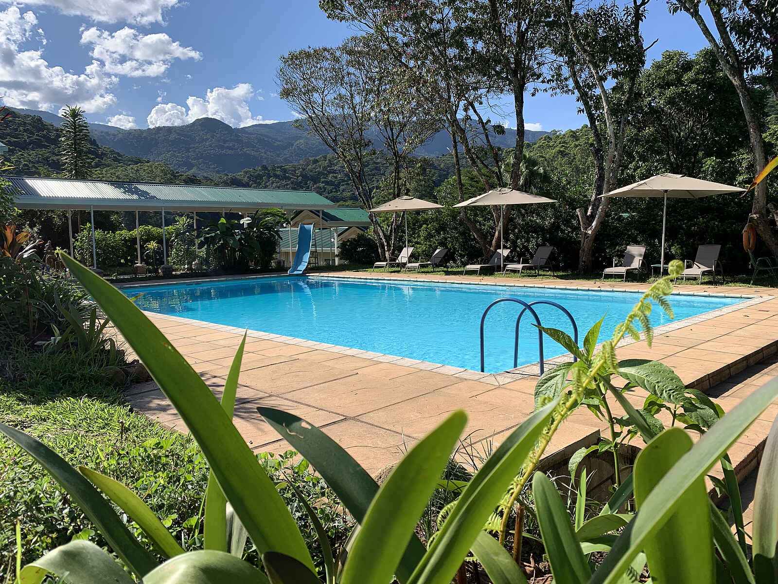 Aberfoyle Lodge: Swimming Pool Aberfoyle Lodge: Swimming Pool