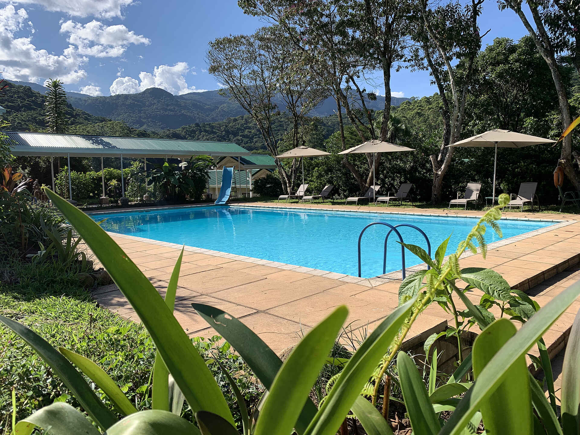 Aberfoyle Lodge: Swimming Pool Aberfoyle Lodge: Swimming Pool