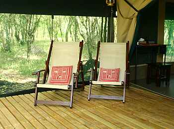 Mara Bush Camp: Liegestühle vor dem Gästezelt Mara Bush Camp: Liegestühle vor dem Gästezelt