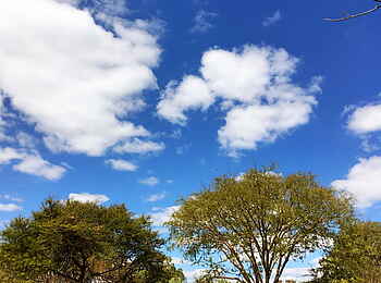 Ntemwa Busanga Bushcamp: Mobiles Zeltcamp