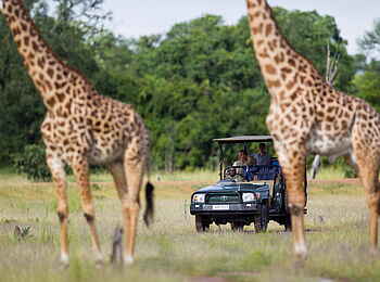 Time + Tide Chinzombo: Giraffen im South Luangwa