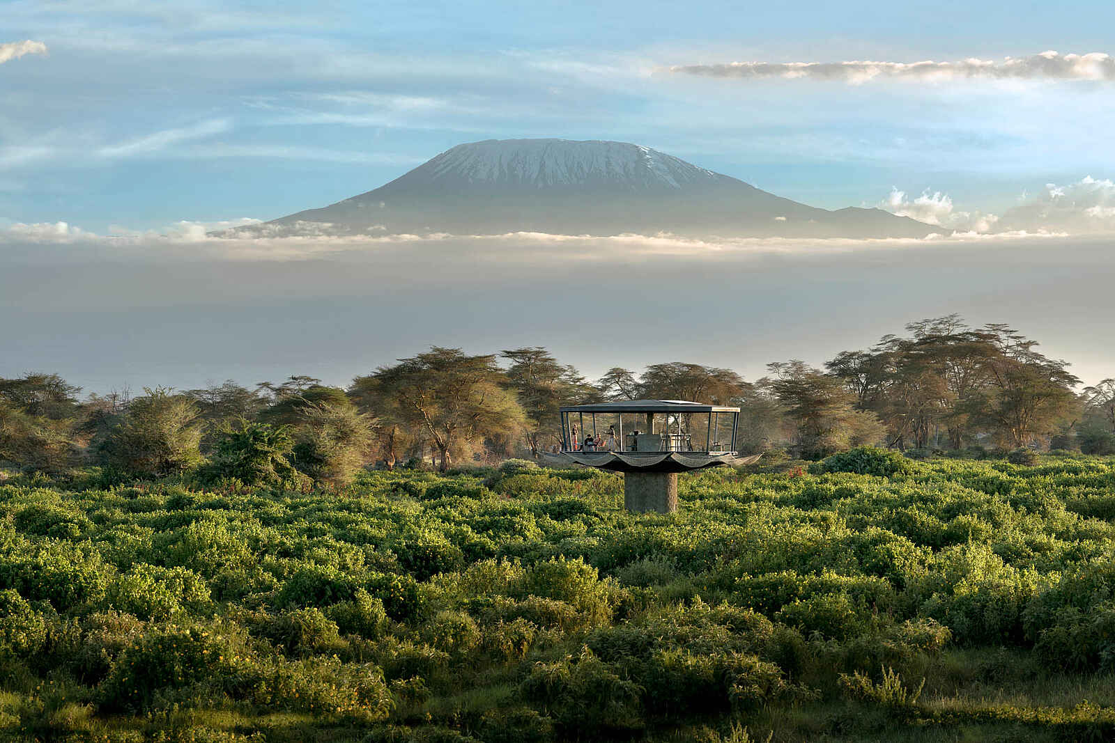 Angama Amboseli: Der Mnara Aussichtsturm Angama Amboseli: Der Mnara Aussichtsturm