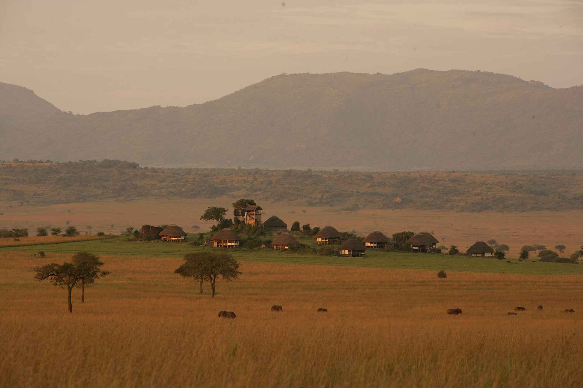 Apoka Lodge, Kidepo National Park, Kidepo Valley, Savanne, Gesamtansicht, Landschaft, Afrikarma, Afrikarma Safaris, Afrikarma.de, Wildplaces Uganda, Apoka Safari Lodge, Narus-Tal