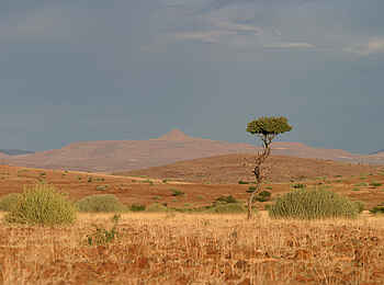 Etendeka Mountain Camp: Natur Etendeka Mountain Camp: Natur